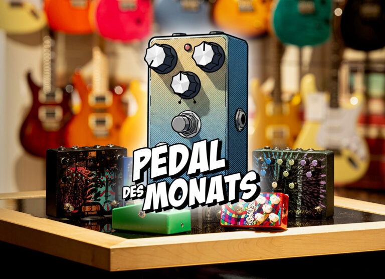 Pedal des Monats Logo
