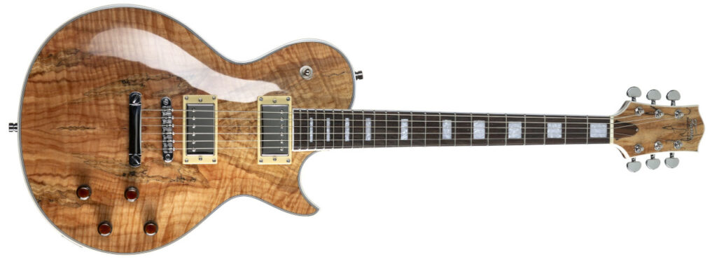 Produktbild der Fame Syndicate RW Nature E-Gitarre