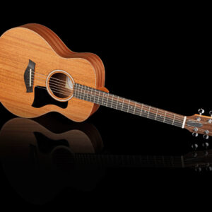 Taylor GS Mini Mahogany front