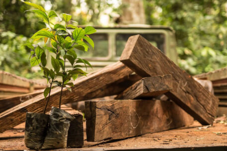 Taylor Guitars Ebony Project