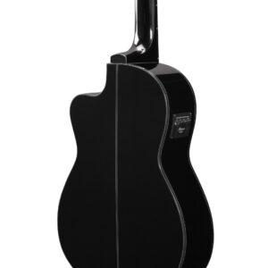 Ibanez GA5TCE mit Tobabnehmer