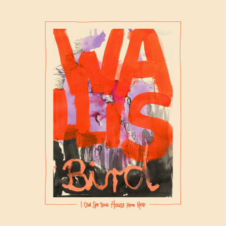 Wallis Bird Cover