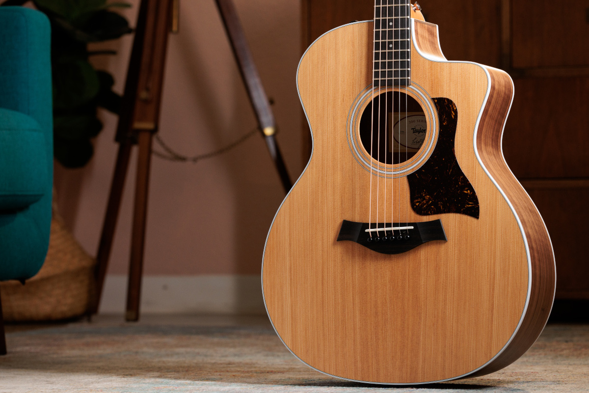 Taylor 214ce im Test: Der perfekte Einstieg in die Taylor-Welt?