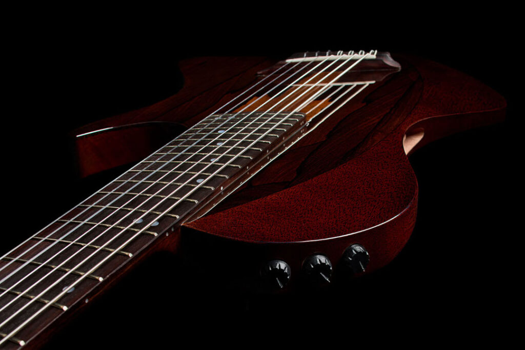 Fishman Stage Pickup