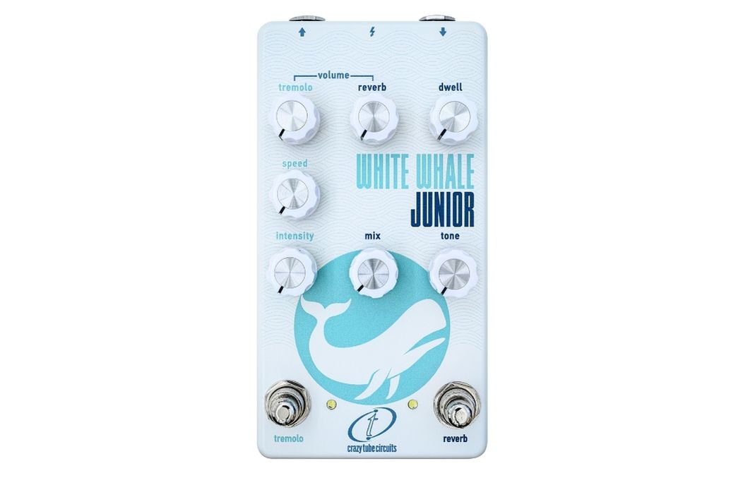 Der Crazy Tube Circuits White Whale Jr. kombiniert einen echten analogen 3-Feder-Hall mit einem separat schaltbaren Amp-Style-Tremolo.