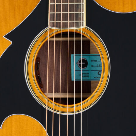 L. R. Baggs Element Bronze VTC
