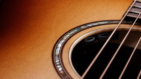 Taylor Claria Pickup