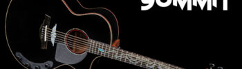 Guitar Summit Fame Acoustics