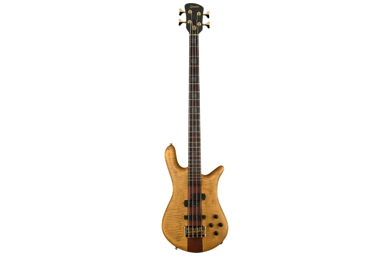 Testbericht: Spector Euro 4 Rex Brown Signature Bass Desert Gold