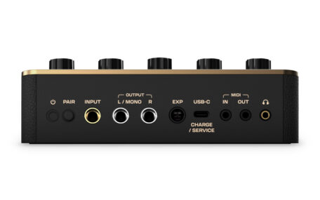 Anschlüsse des Spark PEDAL Pedal Anschlüsse des Spark PEDAL Pedal