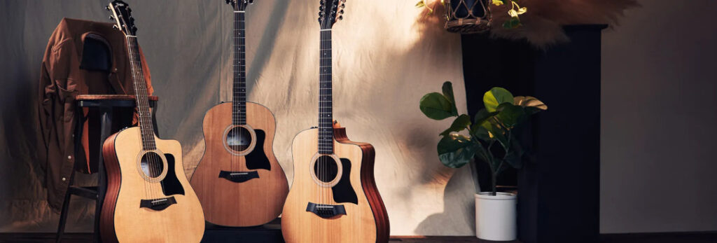 Taylor 100 Series