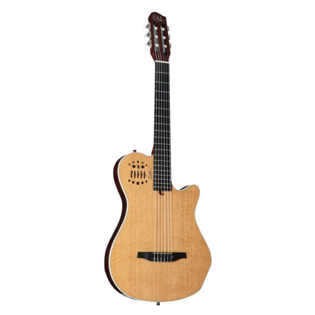 Godin Multiac