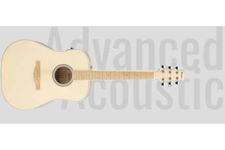 Ibanez AAD77M1E-OAW